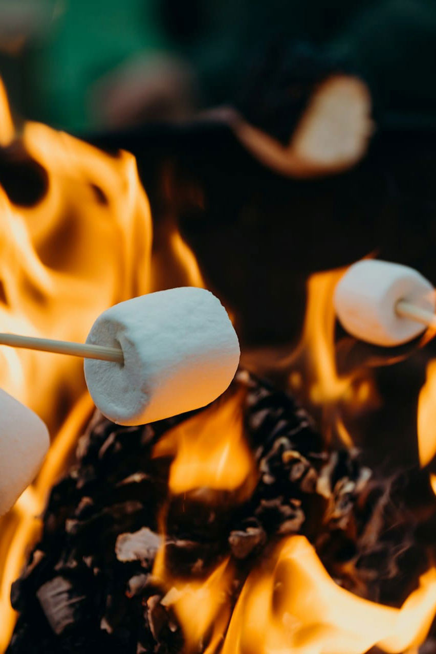 Camping Travel image